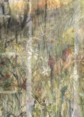  Death of a Field read by Paula Meehan