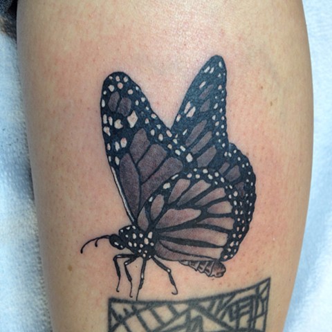 Monarch butterfly Tattoo