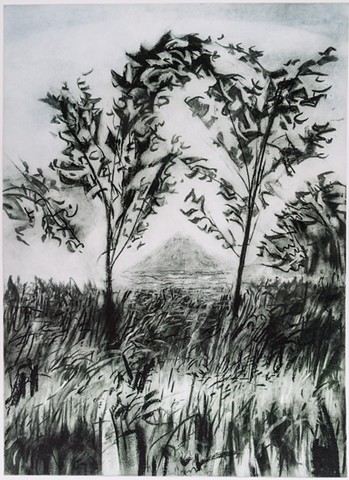 A Polymer photogravure intaglio print of a charcoal drawing that shows the edge of a woodlot at McCanna House in North Dakota.