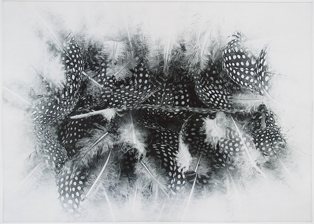 Polymer photogravure print "Feather Weight" by John Pearson