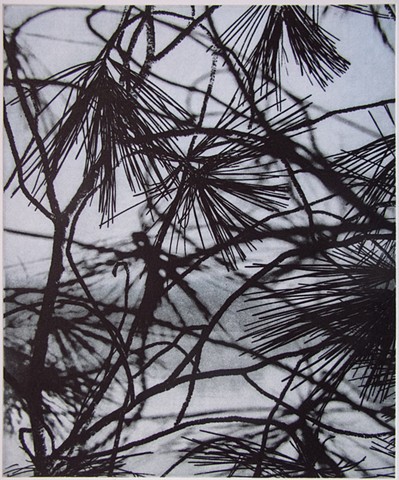 Polymer photogravure print "Land of Pines" by John Pearson