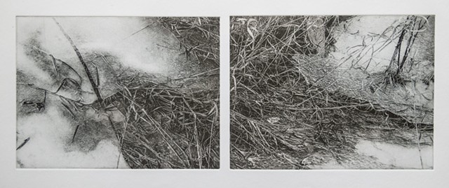 Polymer photogravure print "Prairie Thaw" by John Pearson