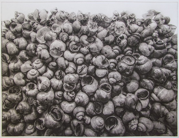 Polymer photogravure print "Invasion of the Mystery Snails" by John Pearson