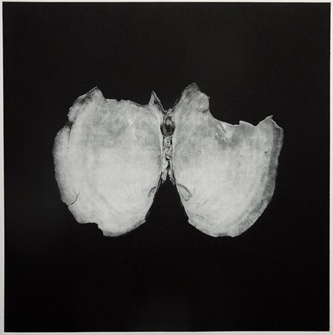 Polymer photogravure print "Mussel Remains Ia" by John Pearson