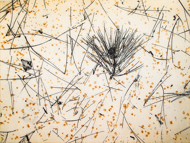 Polymer photogravure print "Birch Confetti" by John Pearson