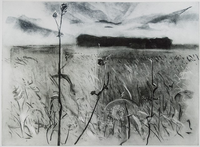 A Polymer photogravure intaglio print of a charcoal drawing that shows Malmberg Prairie SNA in northwestern Minnesota..