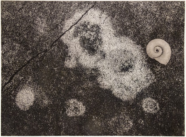 Polymer photogravure print "Cambrian Persistence" by John Pearson
