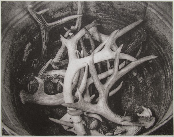 Polymer photogravure print "Antlers for Sale" by John Pearson