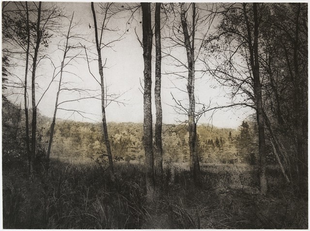 Polymer photogravure print "Near the Bog" by John Pearson