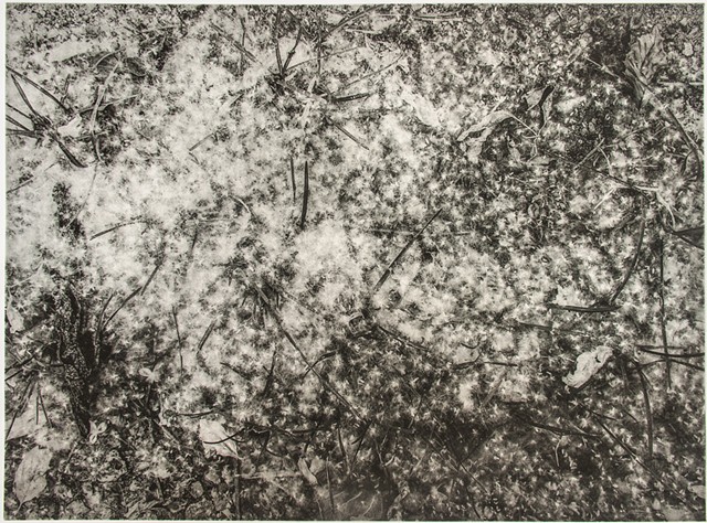 Polymer photogravure print "Cottonwood Snow" by John Pearson