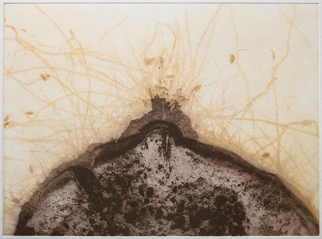 Polymer photogravure print "Spore Scape 4" by John Pearson