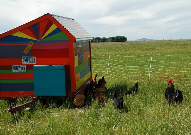 Rainbow Chicken Coop