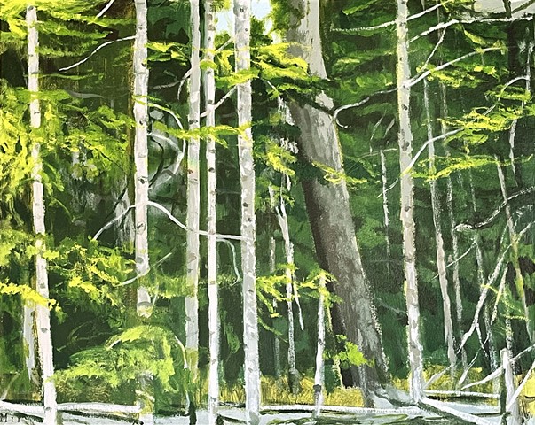 Forest Light
