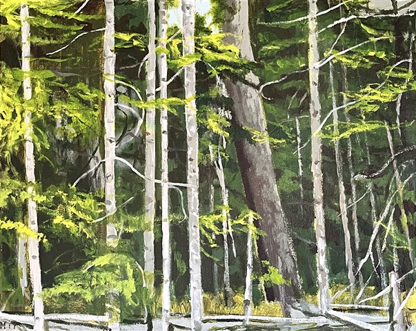 Forest Light