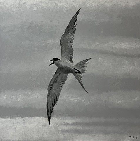 Tern (grayscale)