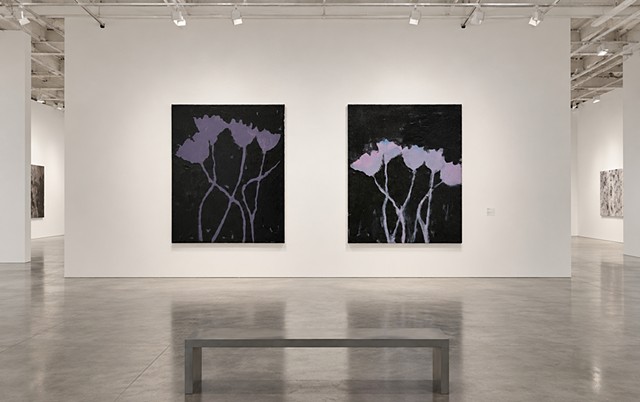 Christopher Mir