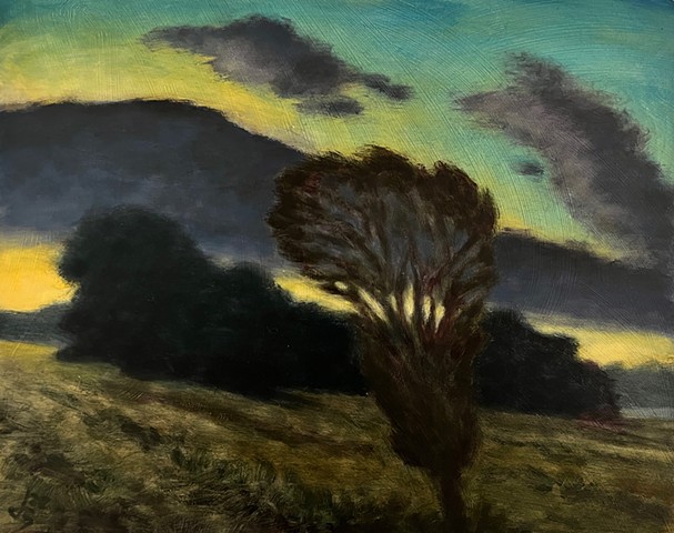 Sunrise Field and Tree