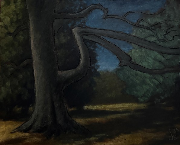Bent Tree in Moonlight