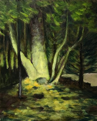 Spotlight in the Woods