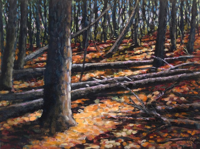 Light Through the Pines - SOLD