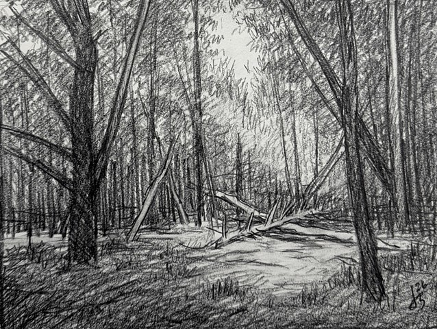 Clearing
