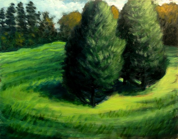 Cedars in the Field