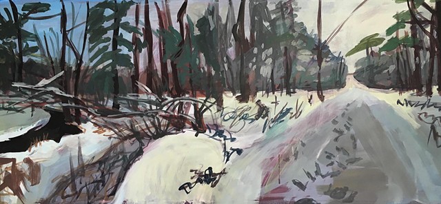 landscape, winter, woods, Maine, Cape Elizabeth