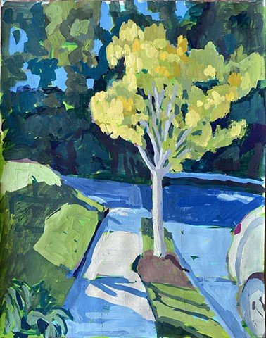 Yellow Crepe Myrtle on the Corner of Val and Sunnyside
