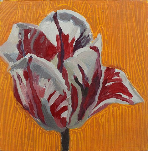 Pin Stripe Tulip 3
