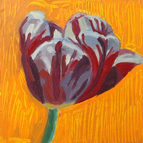 Pin Striped Tulips 1