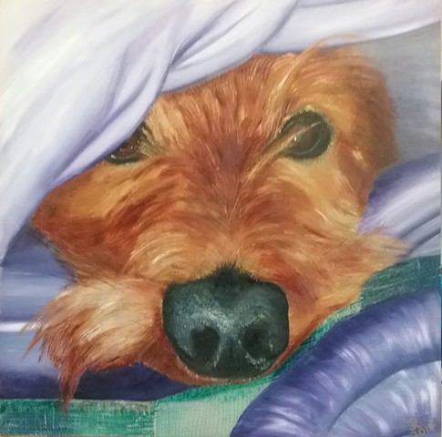 Fine art oil painting of a wire haired dachund.