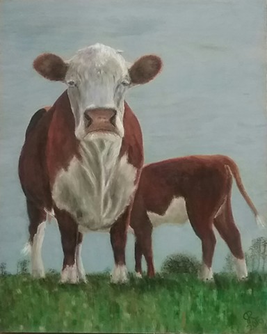 Cows