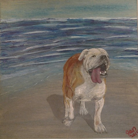 Fine art acrylic painting of English Bulldog running on the beach.