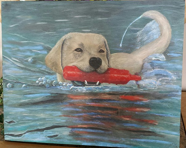 Fine art custom oil portrait of a a yellow Labrador Retriever swimming in the Columbia river.