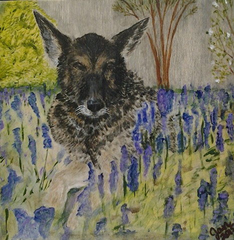 Acrylic commission of GSD in iris