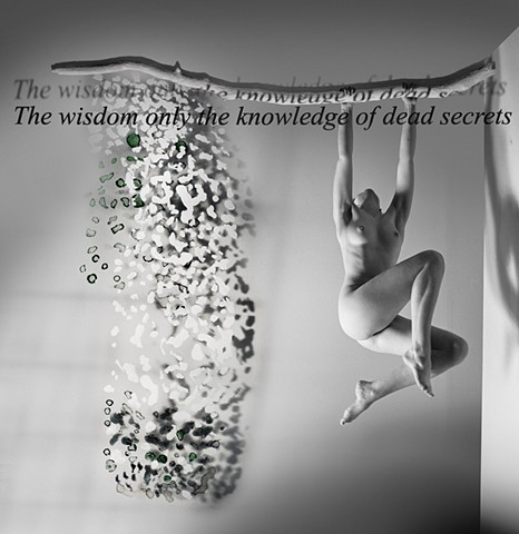 The Wisdom of the Knowledge of Dead Secrets
