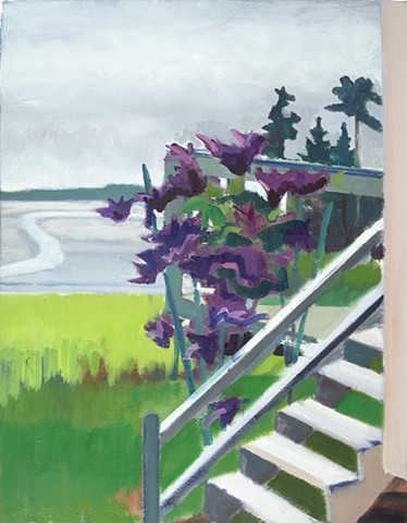 Clematis