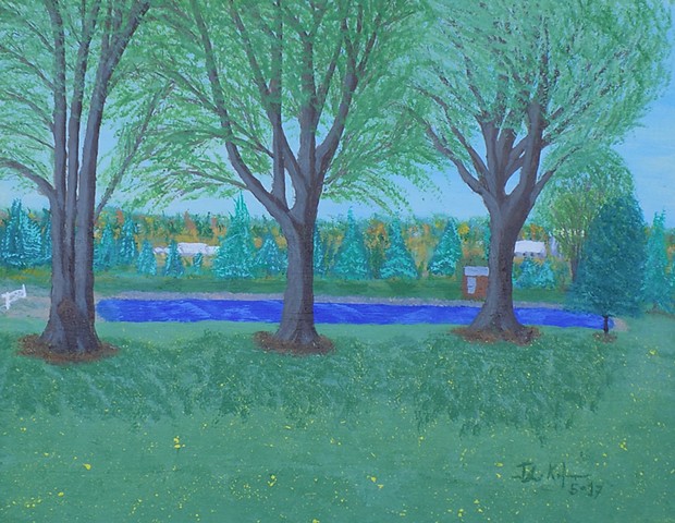 a spring landscape