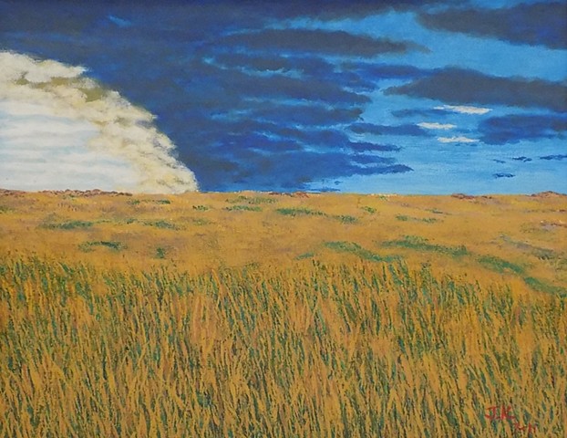 A painting of T. Roosevelt NP,   by John Kaufmann