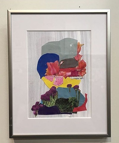 Collage, cutandpaste ,professionally framed