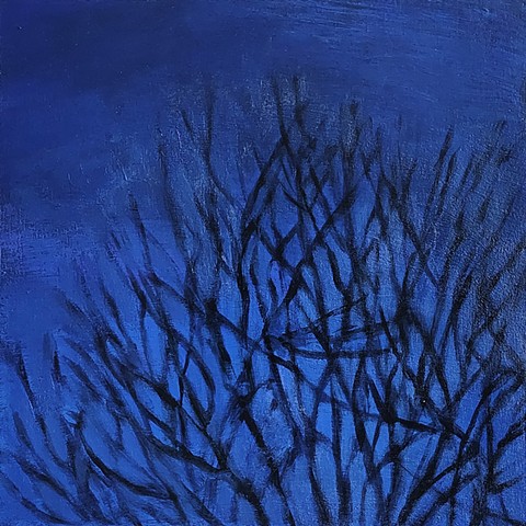 Blue Branches