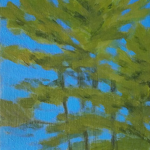 Spring Skies VI: Pines