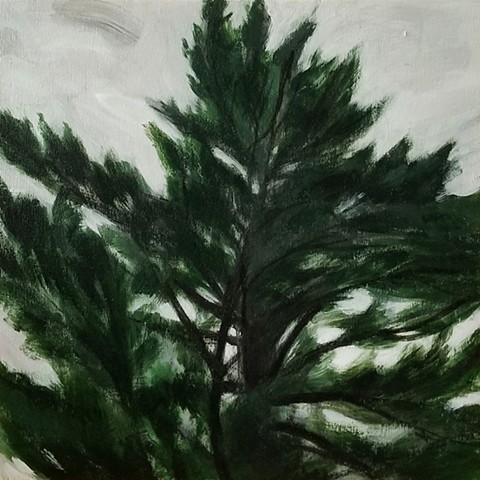 Unwavering Pine (*Sold)