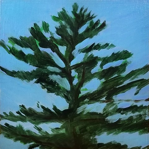 Day's End Pine -- Study I