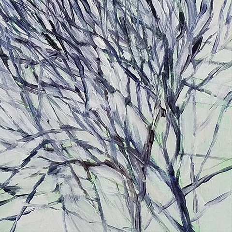 Winter Branches