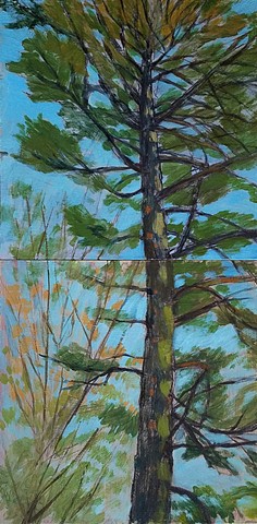 Landmark Pine, diptych