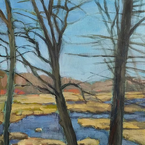 Spring View, Fort Pond Brook
