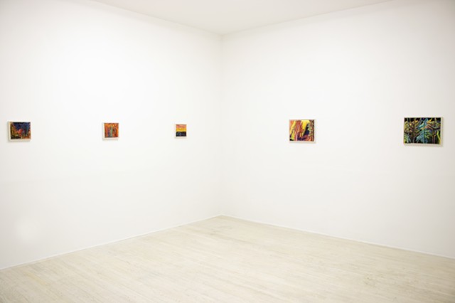 The Intangible Forest - Installation View