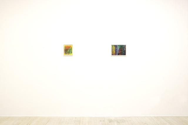 The Intangible Forest - Installation View