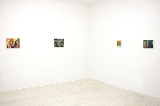 The Intangible Forest - Installation View